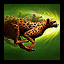 Call of Haste (PvP)