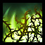 Brambles