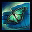 Release Enchantments